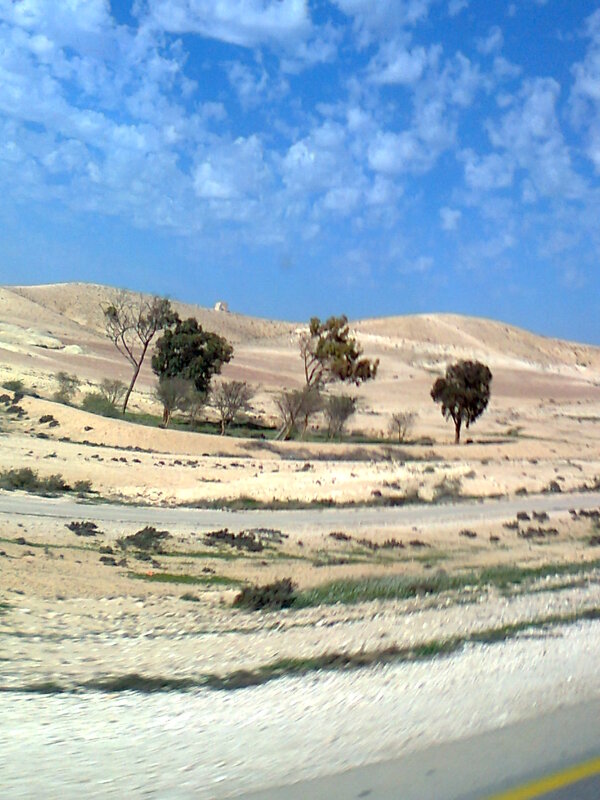 Пейзаж в пустыне - Герович Лилия 