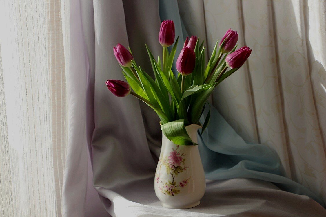 Робкие, несмелые февральские тюльпаны - Надежд@ Шавенкова