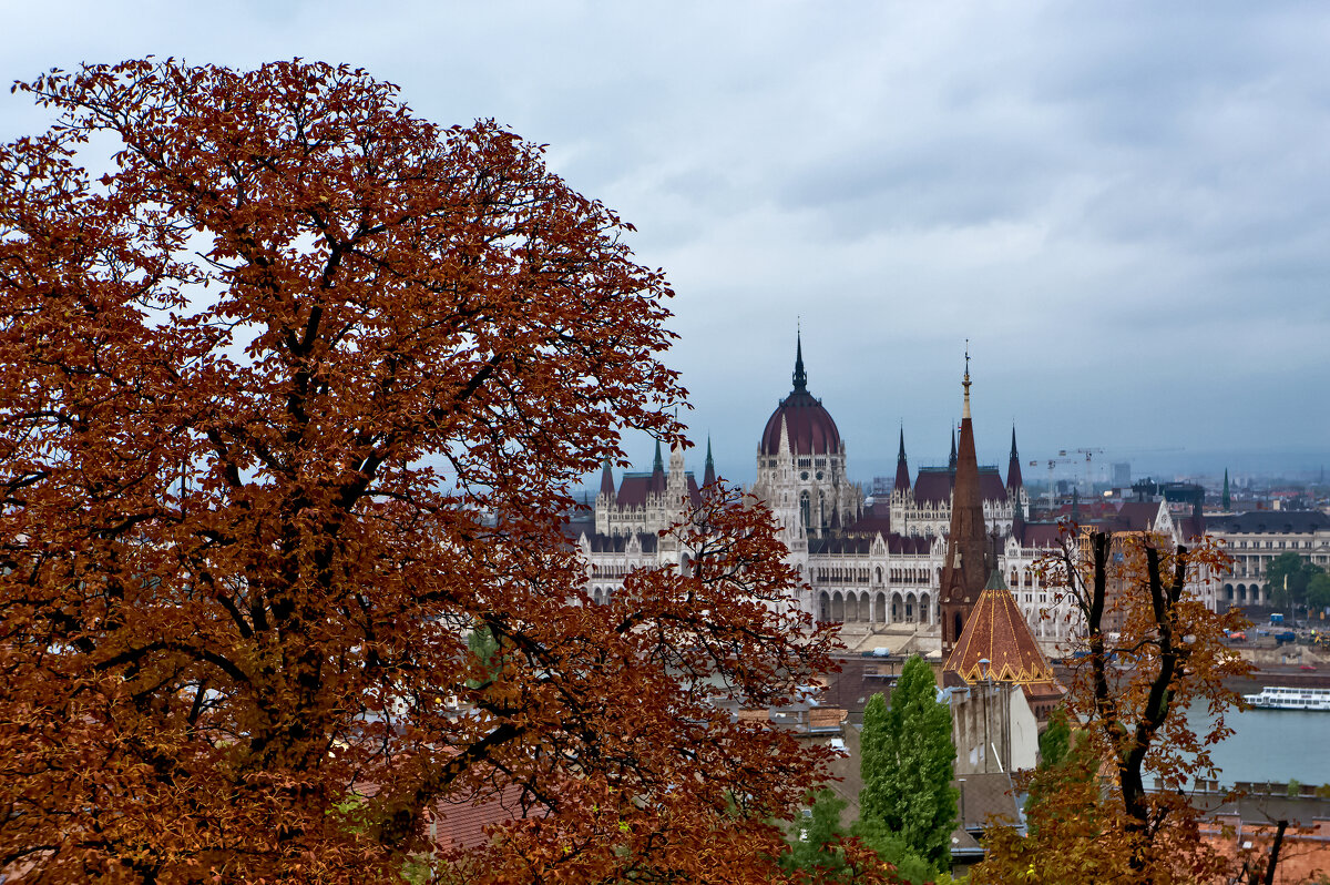 Осень в Будапеште - Ольга Маркова