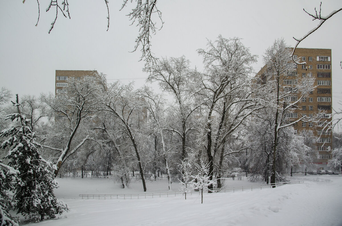 Зима в городе - Анатолий Цыганок