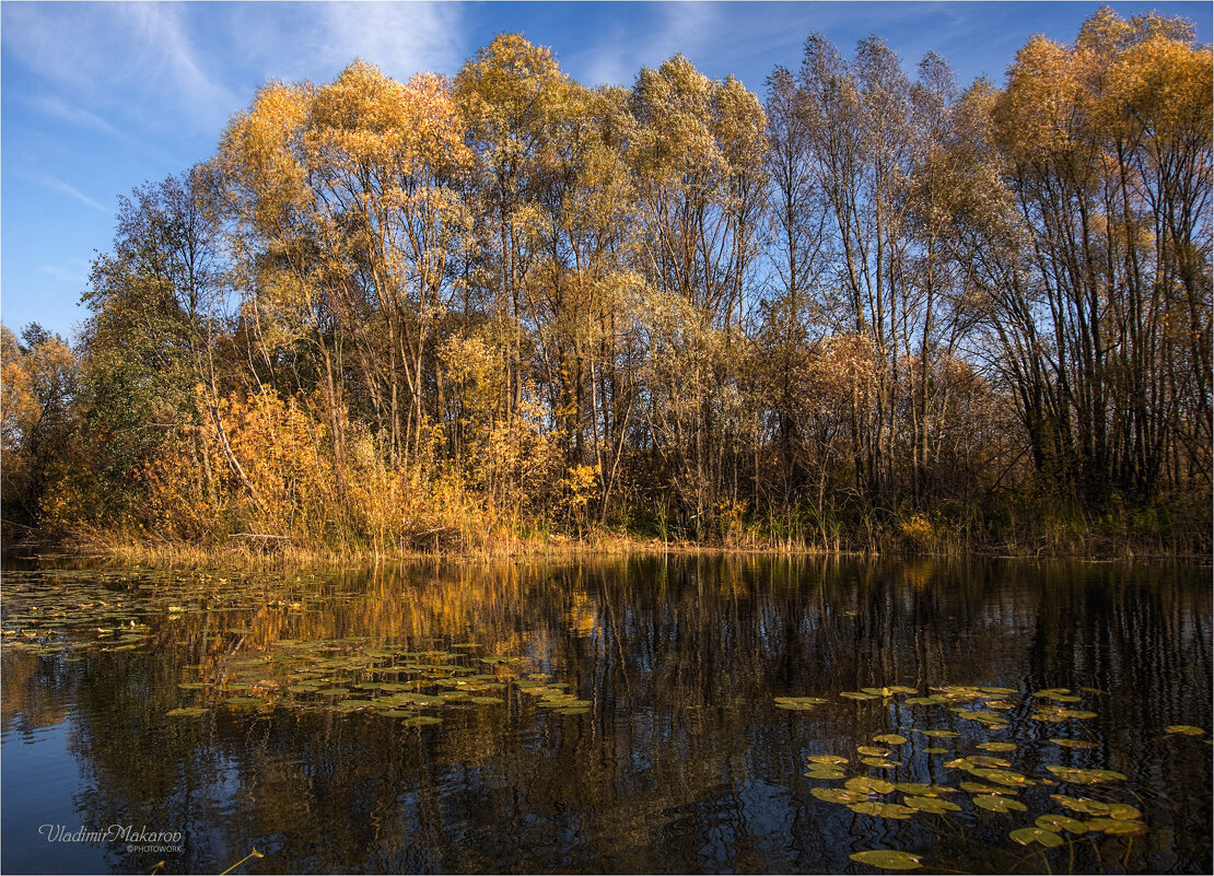 "Осенние протоки"© - Владимир Макаров