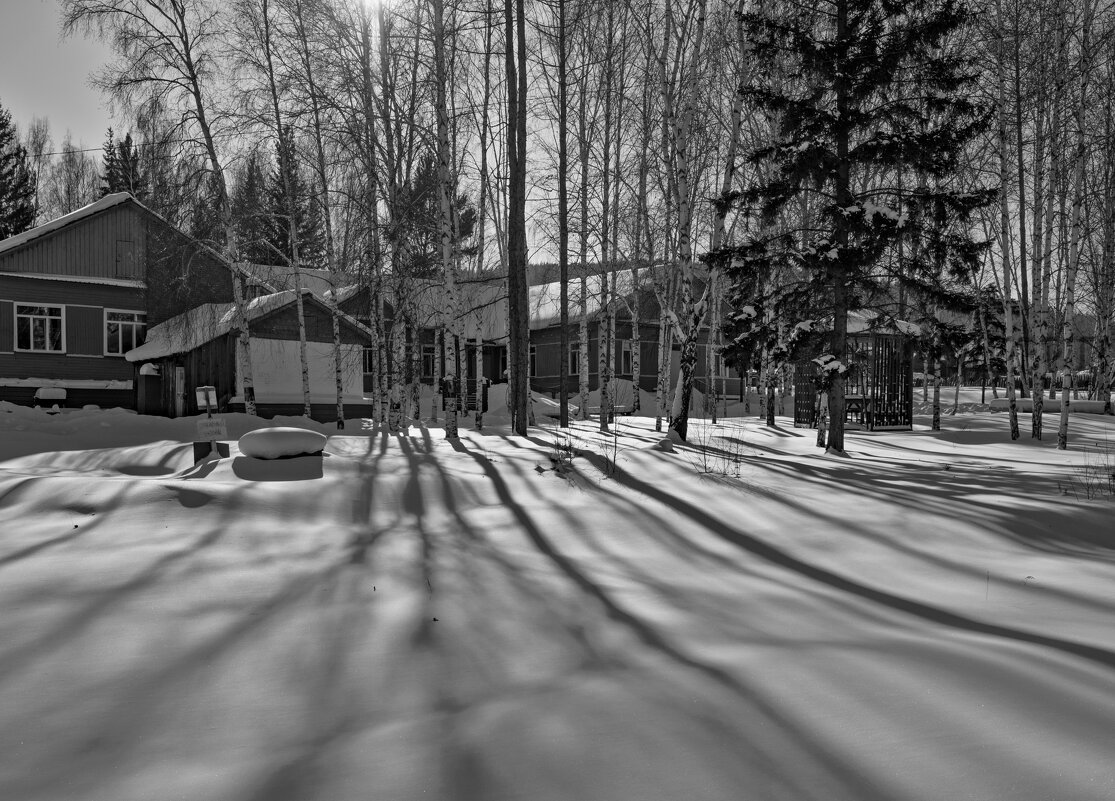 Танцы теней на снегу - Сергей Шаврин