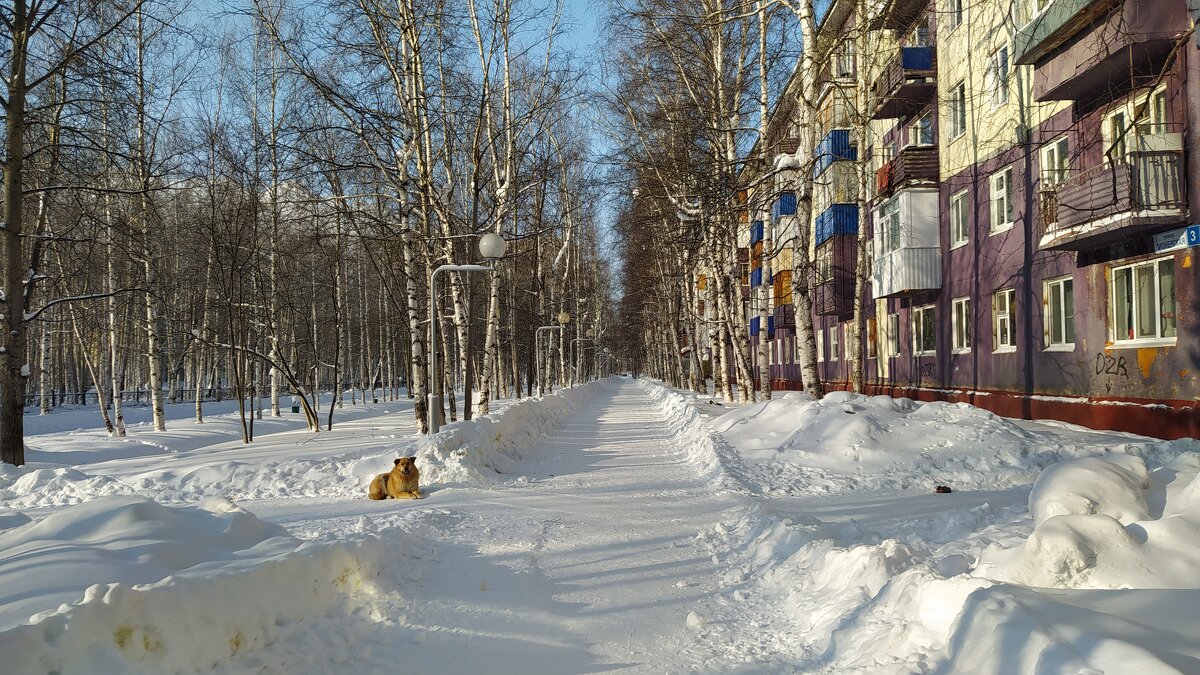 Весна в городе - Влад Владов