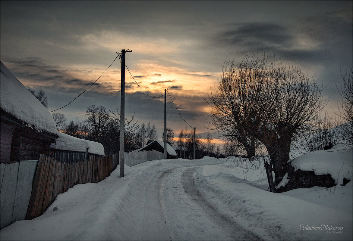 "Ветла у дороги. Сумерки"© - Владимир Макаров