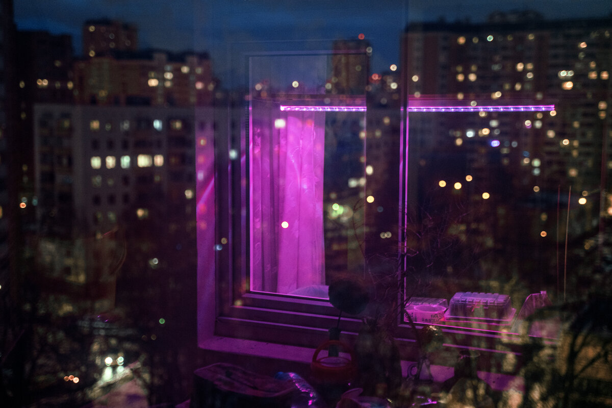 Вид из окна на спальный район - Павел Подурский
