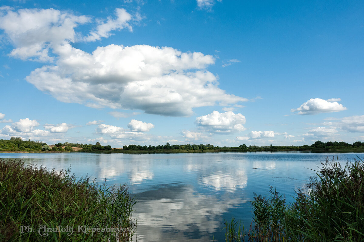 Озеро летом в Шумилино - Анатолий Клепешнёв