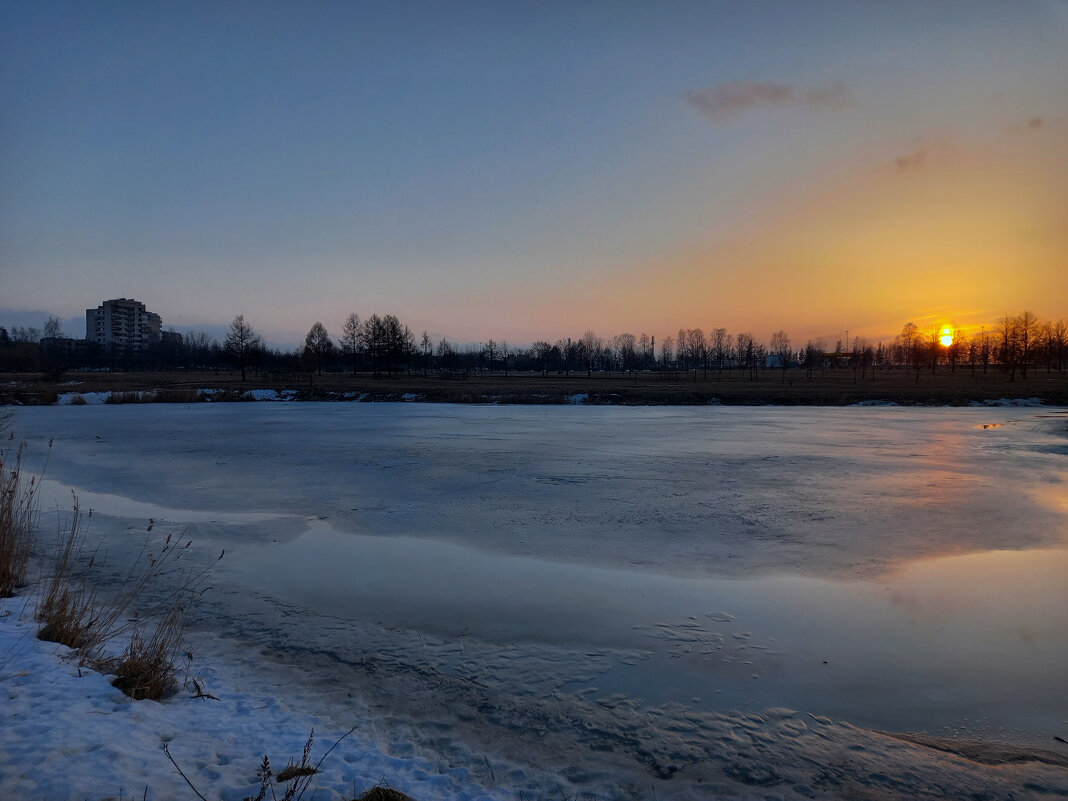 Закат в буферном парке - Сапсан 