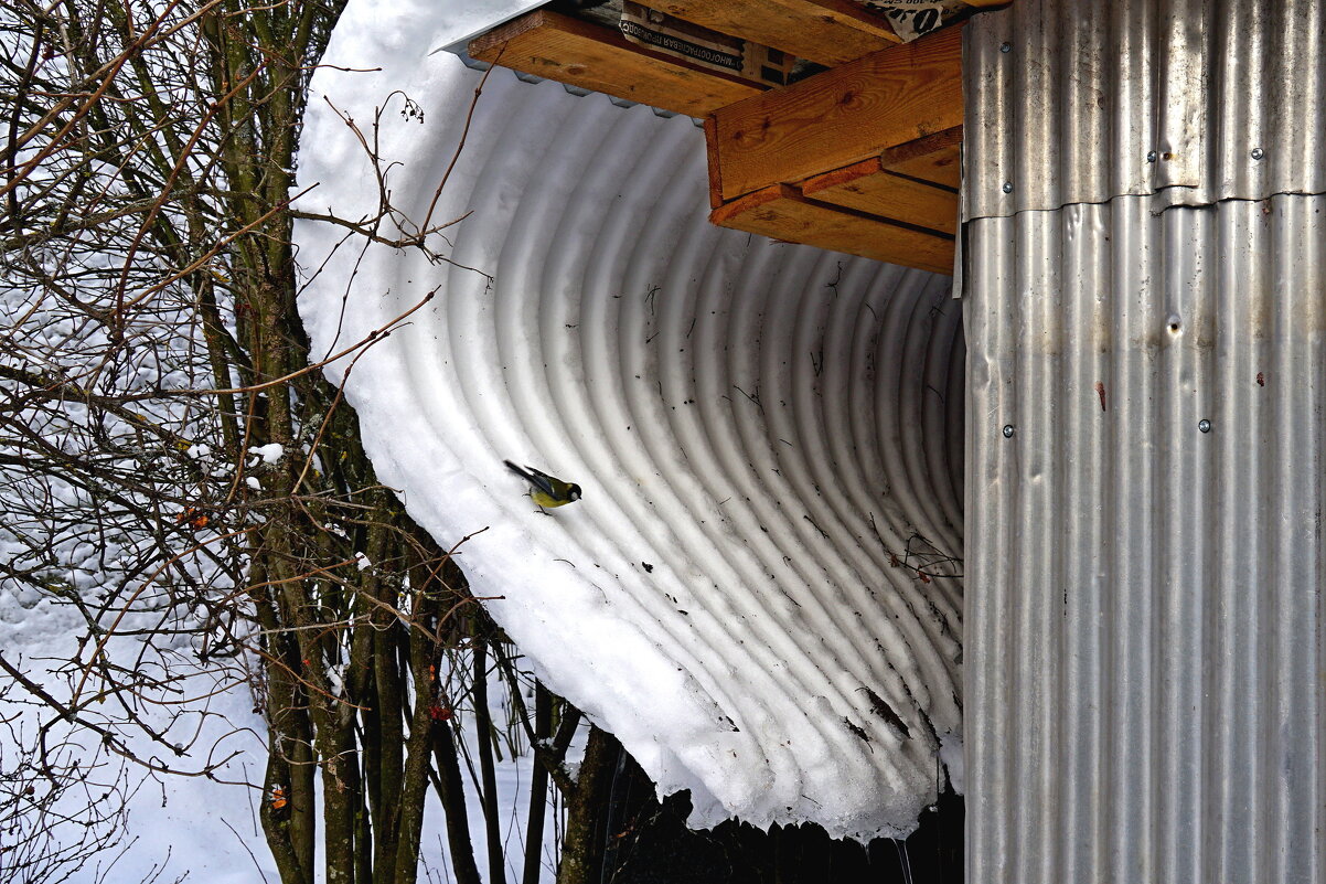 Сползающий с крыши снег - Анатолий Мо Ка