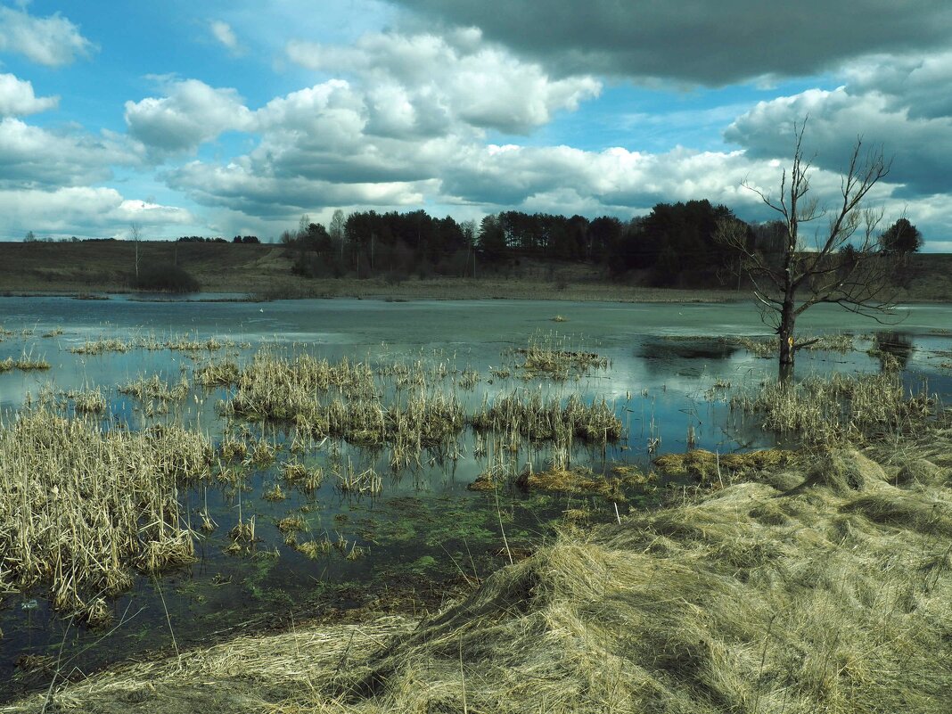 Озеро в апреле - Евгений 