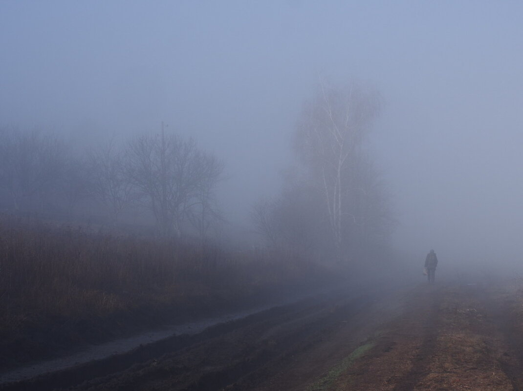 Про туман весенний... - Александр Резуненко