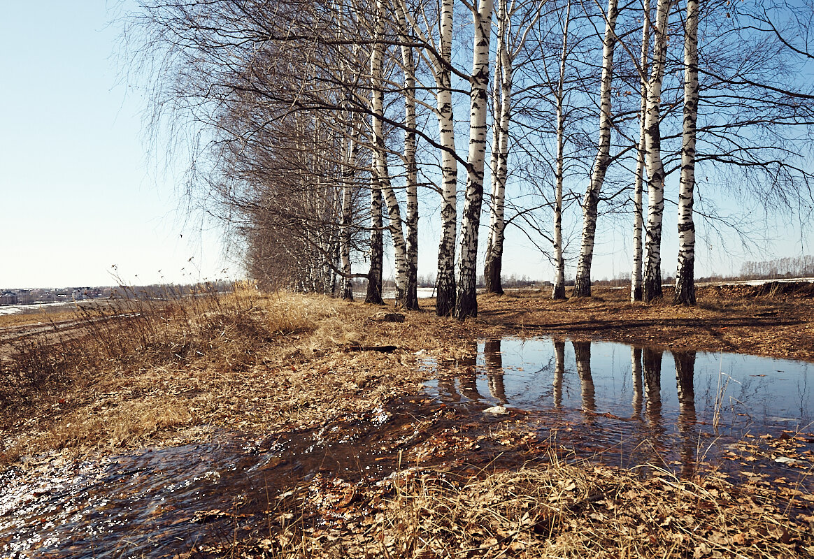 Талая вода - Денис Некрасов