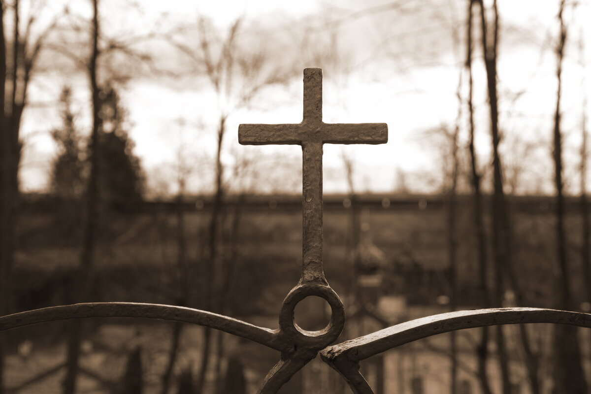 Крест на калиточке - Катерина Клаура