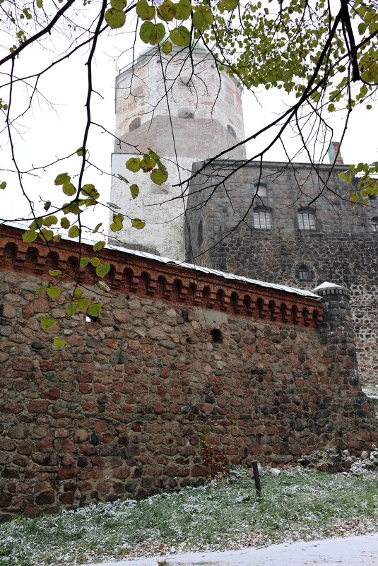 У стен Выборгского замка - Ольга 