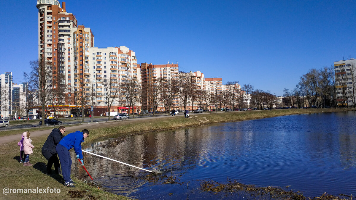 Уборка пруда собственными силами в Воронцовском сквере - Роман Алексеев