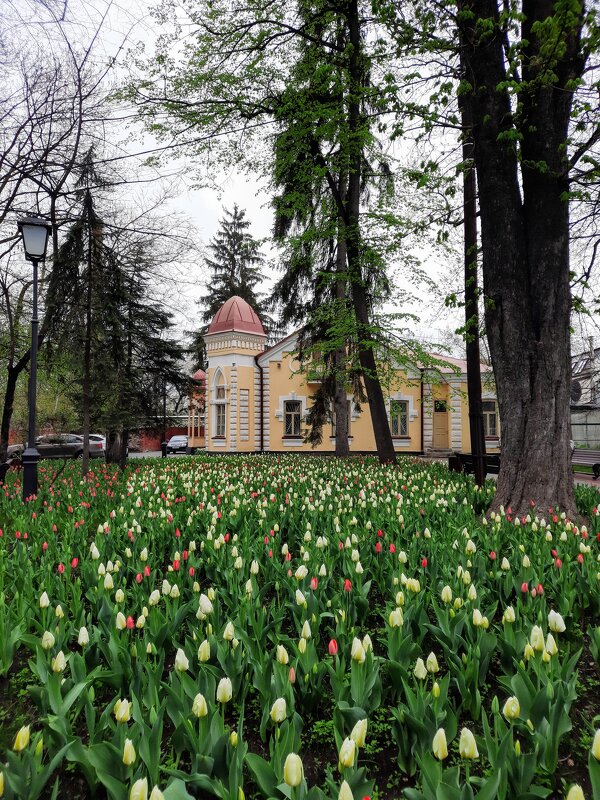 Дом в старом парке - Dimos Izgor