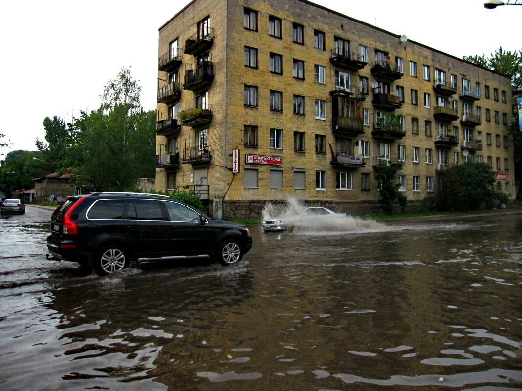 После дождя - Ольга Попова (popova/j2011)