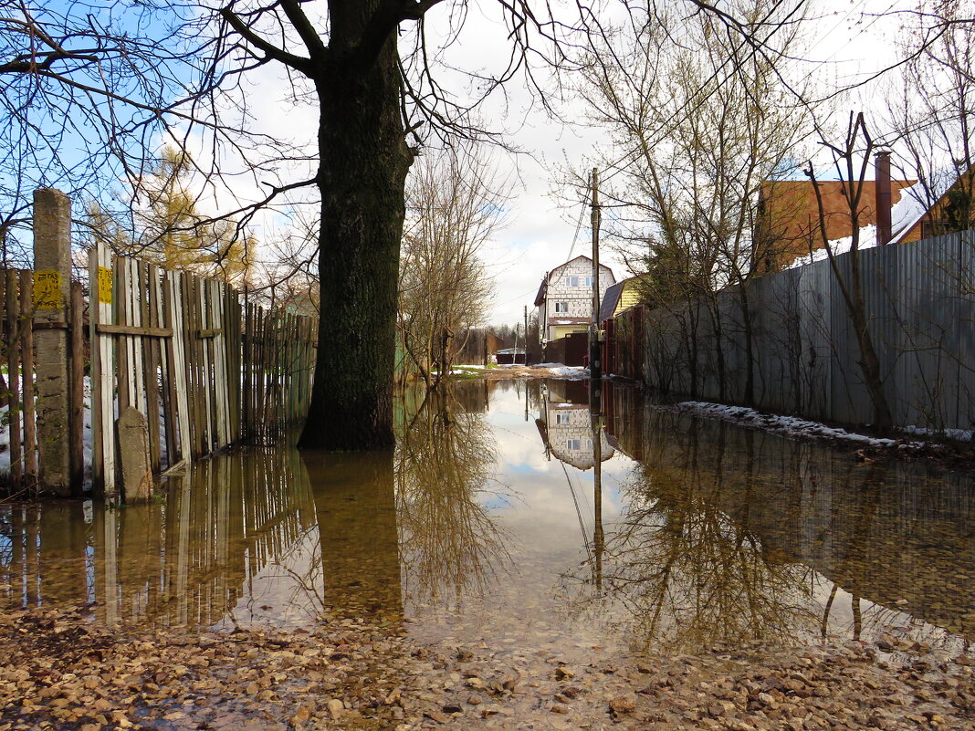 Затопленная улица - Андрей Снегерёв