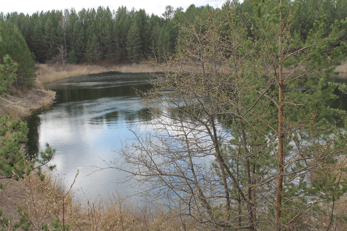 Небольшое озеро  на месте бывшего карьера - tamara kremleva