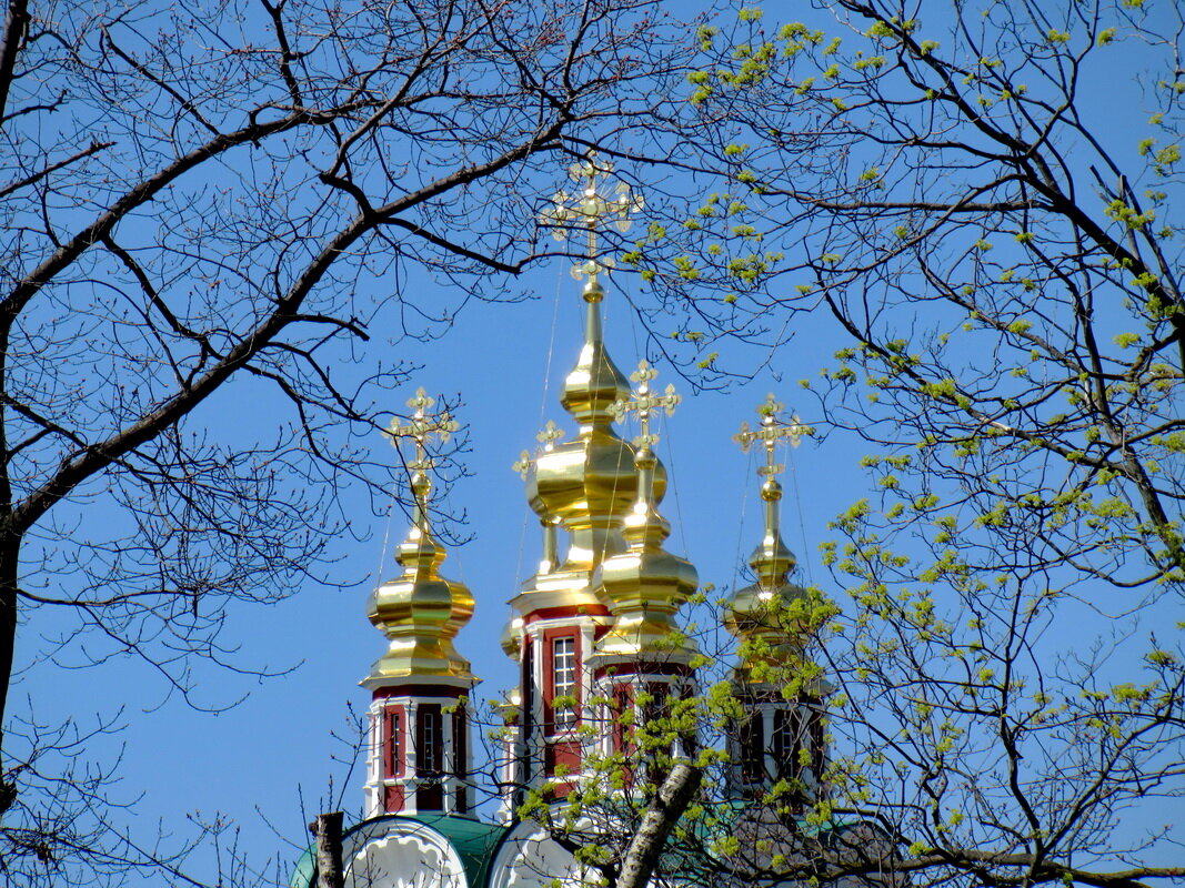Настоящий Первомай - золотые купола - Александр Чеботарь