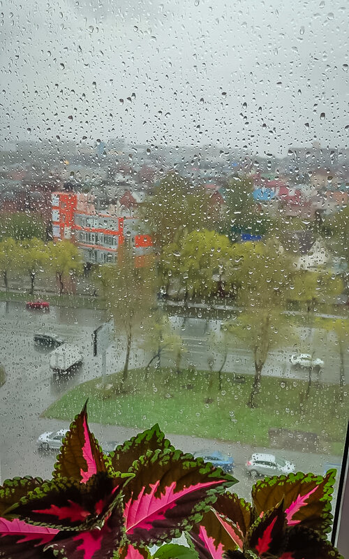 "Дождь весенний, дождь веселый, Дождь в умильный месяц май,.."(В. Брюсов) - Надежда 