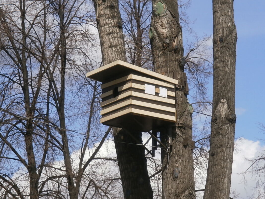 Новый арт-объект в парке - Ольга Довженко