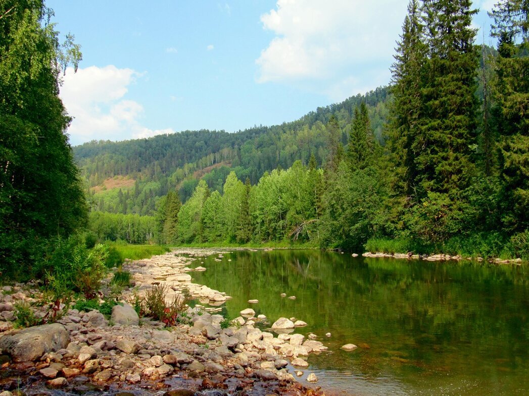 Река Лемеза - Вера Щукина