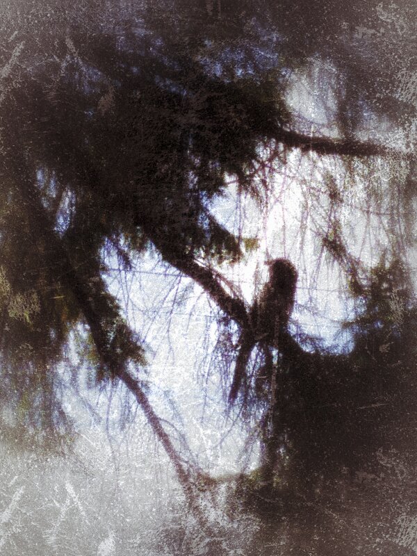 На дереве - Елена Елена