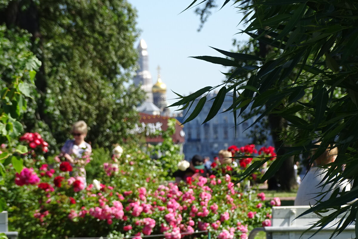 красивые парки Санкт-Петербурга летом - Anna-Sabina Anna-Sabina