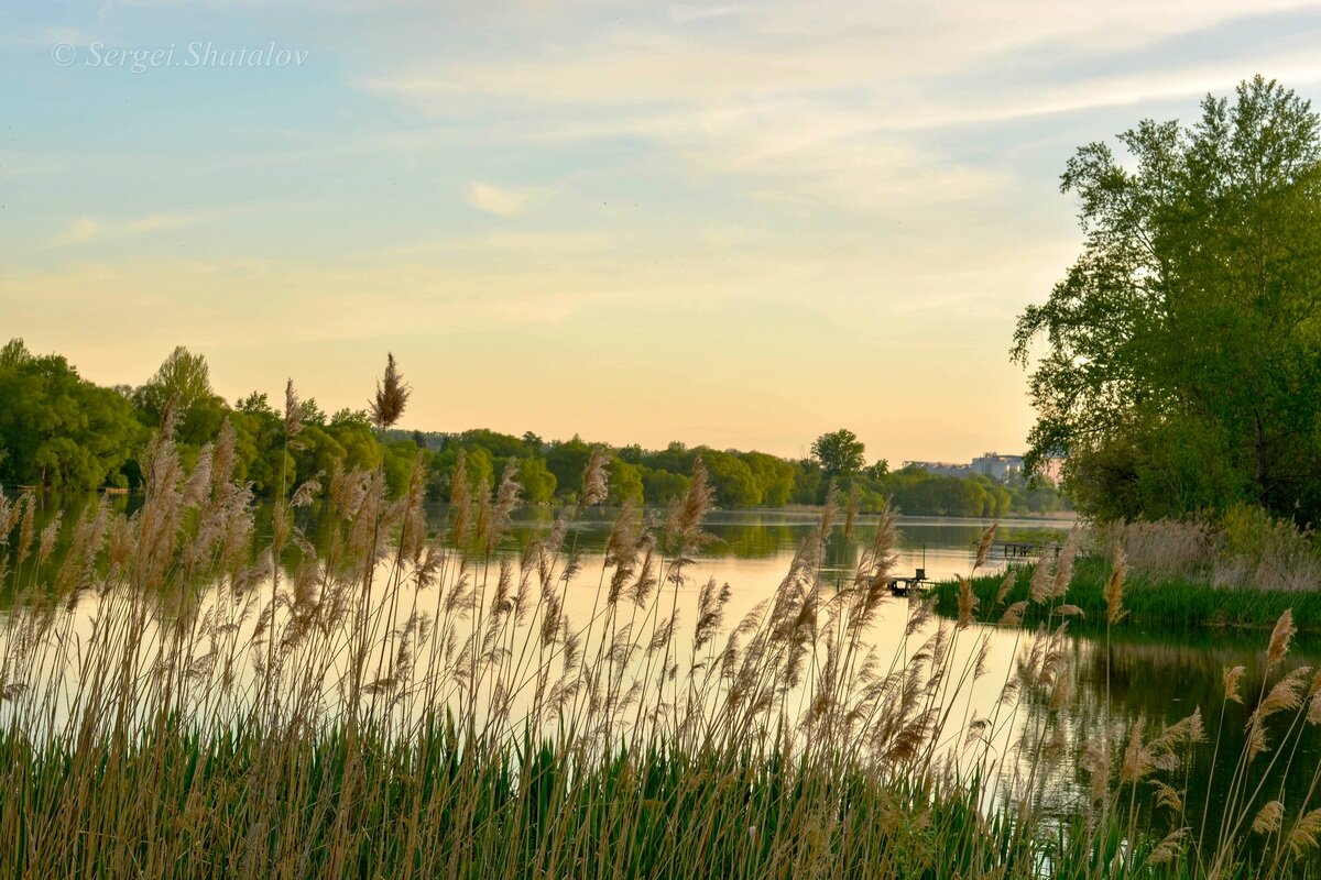 Весенний вечер на озере - Сергей Шаталов