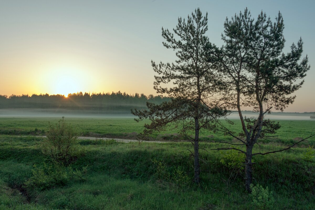 Here comes the sun... - Валерий Иванович