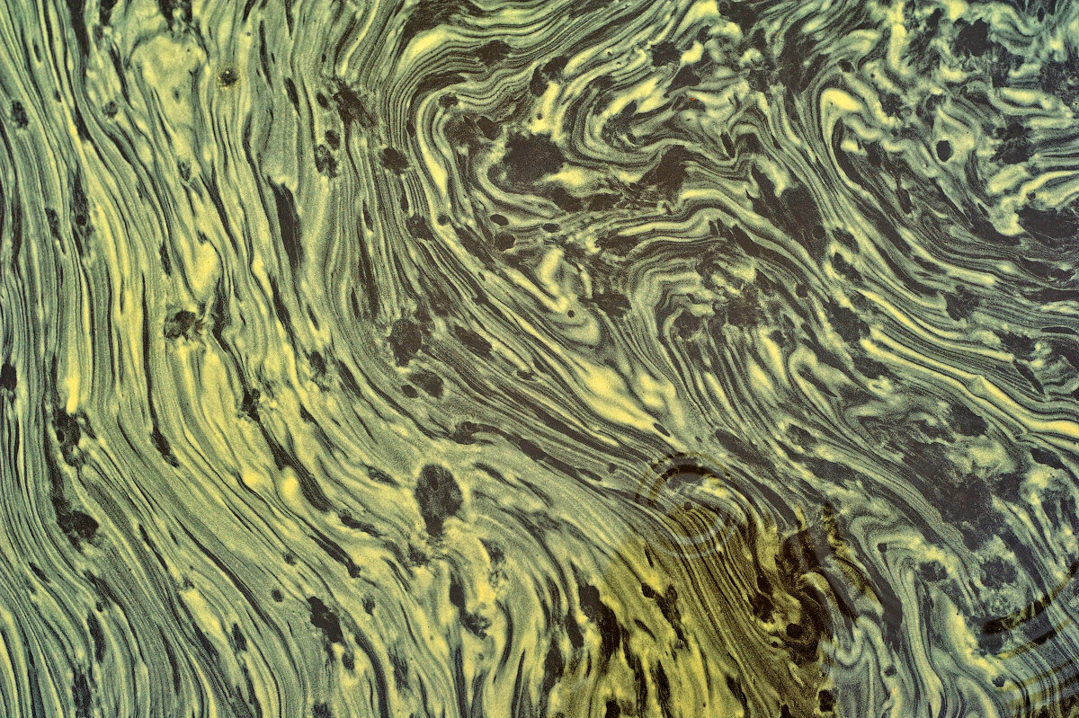 Цветочная пыльца в луже - Андрей Акульшин