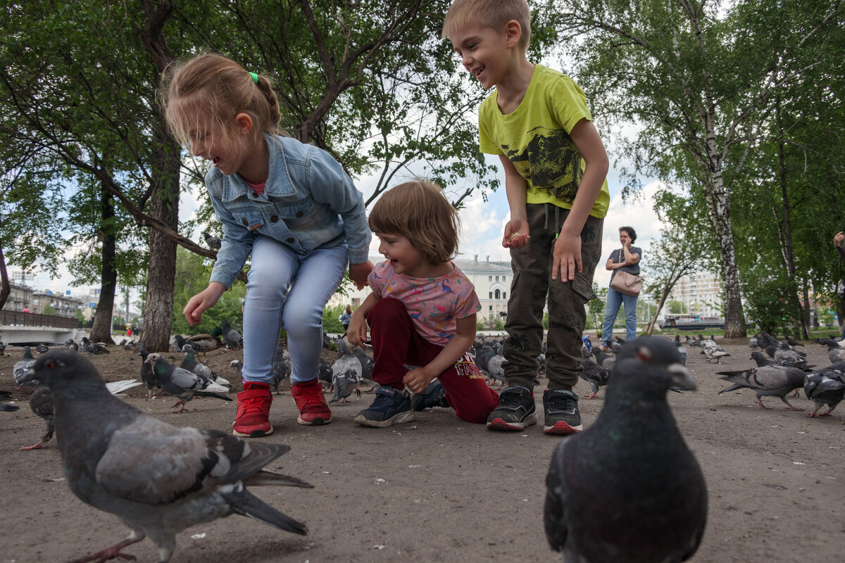 Дети и голуби - Валерий Михмель 