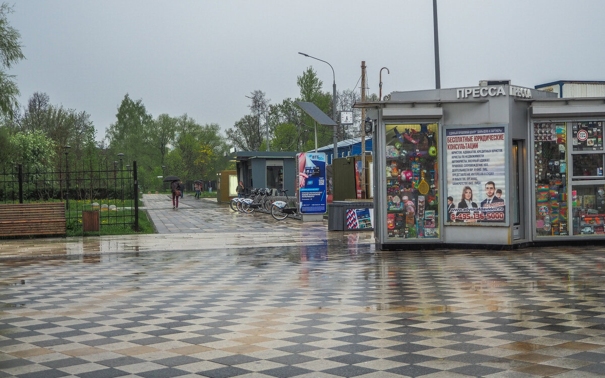Под дождём - юрий поляков