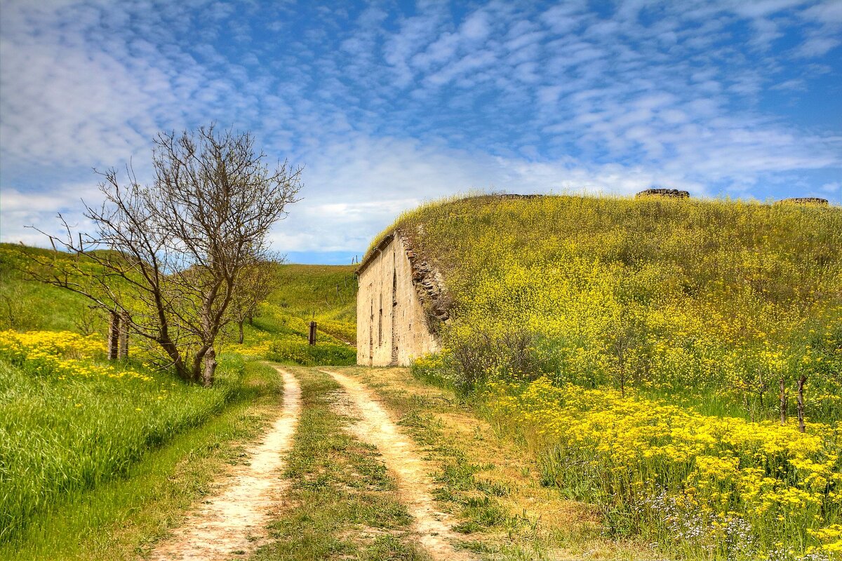 Весенний камуфляж форта Тотлебен - Константин 