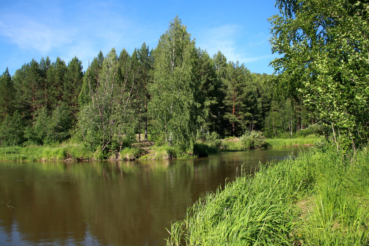 Лето - Нэля Лысенко