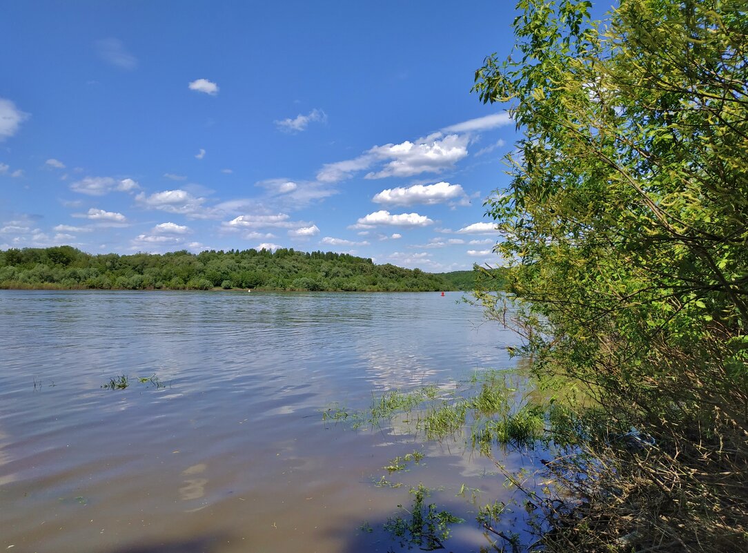 река Ока - Валентина. .