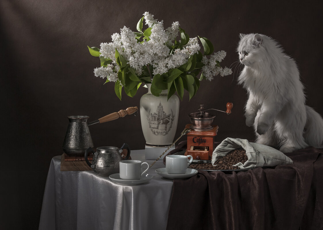 Букет белой сирени и утренний кофе... и любопытная кошка - Алексей Кошелев