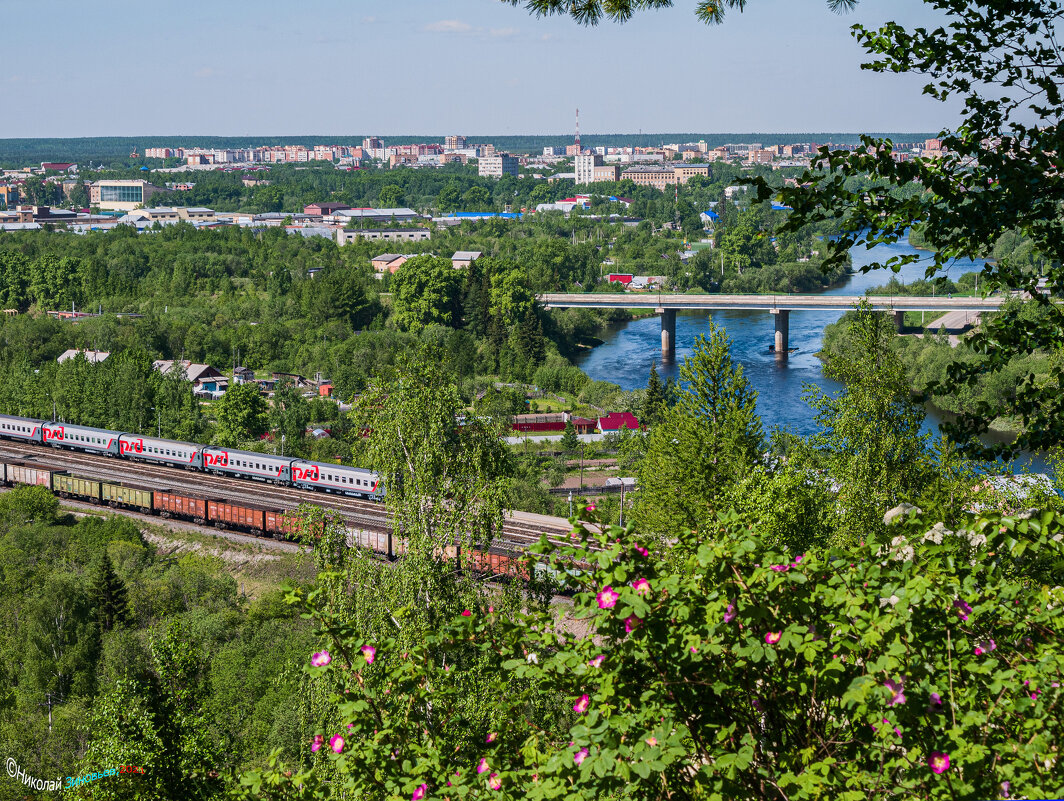 Вид на Ухту с горы Ветлосян,Республика Коми. На Крайнем Севере +27,обильно цветёт рябина и шиповник - Николай Зиновьев