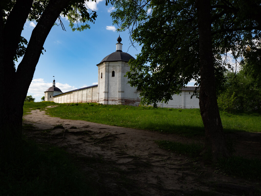 Башни Свенского монастыря в июне - Евгений 