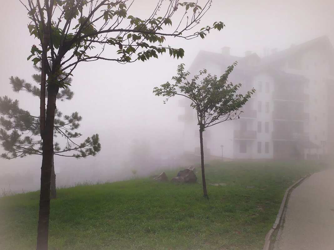 Туманное утро в Сочи - Фотогруппа Весна