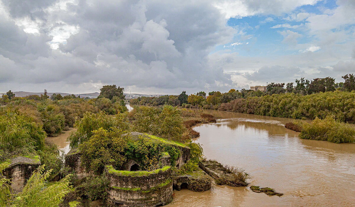 Cordoba 7 - Arturs Ancans