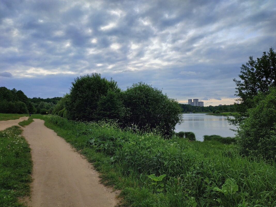 Дороги, которые я выбираю - Андрей Лукьянов