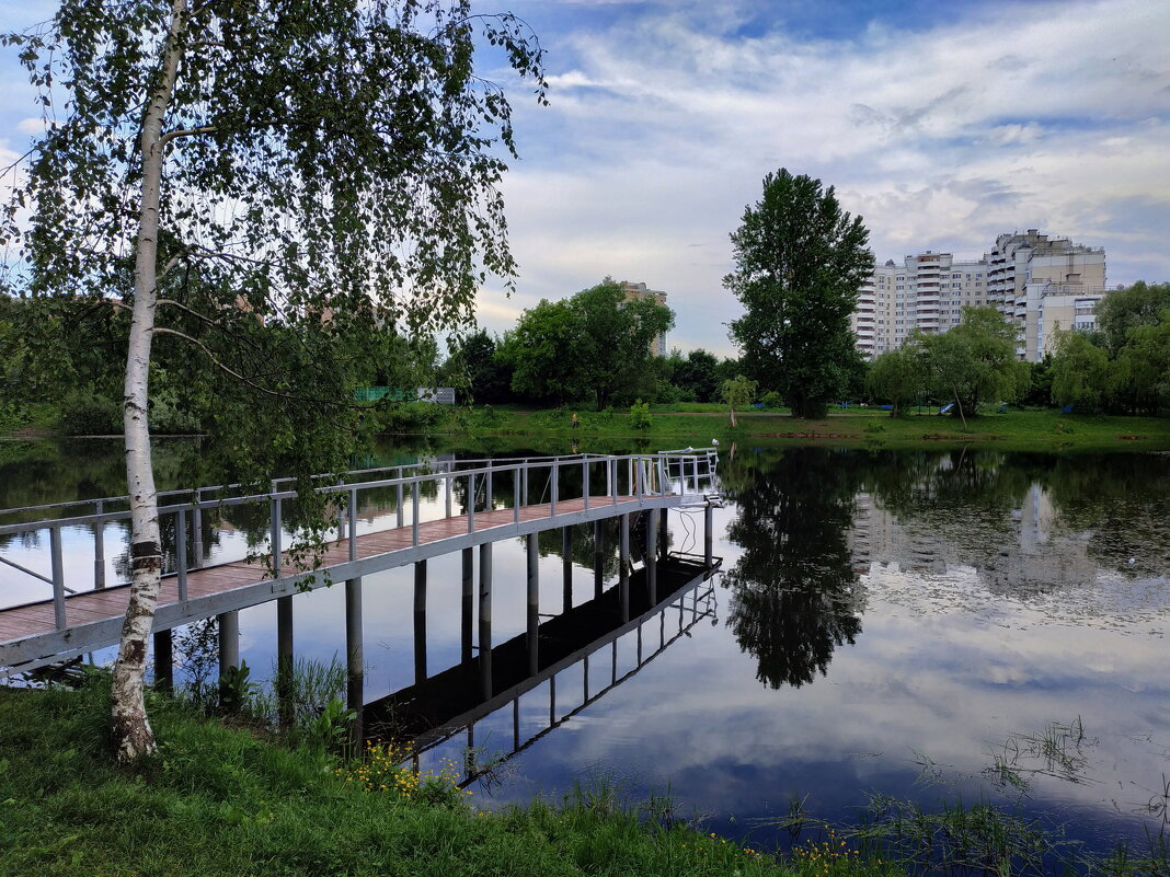 Взгляд на пруд с двух диаметрально противоположный точек - 2 - Андрей Лукьянов