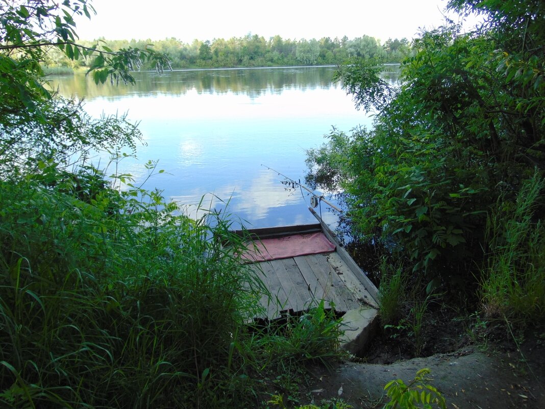 Рыбное местечко на Десне - Александр Скамо