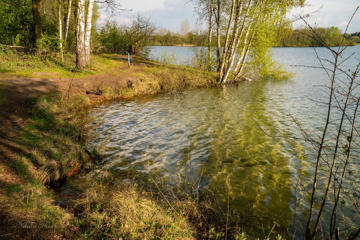 В хрустальной воде - Николай Гирш