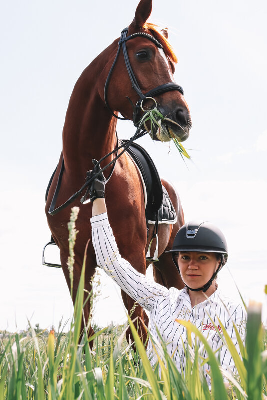 Фотосессия с лошадью, лошадь в поле, девушка с лошадью - Arina Molochnaya