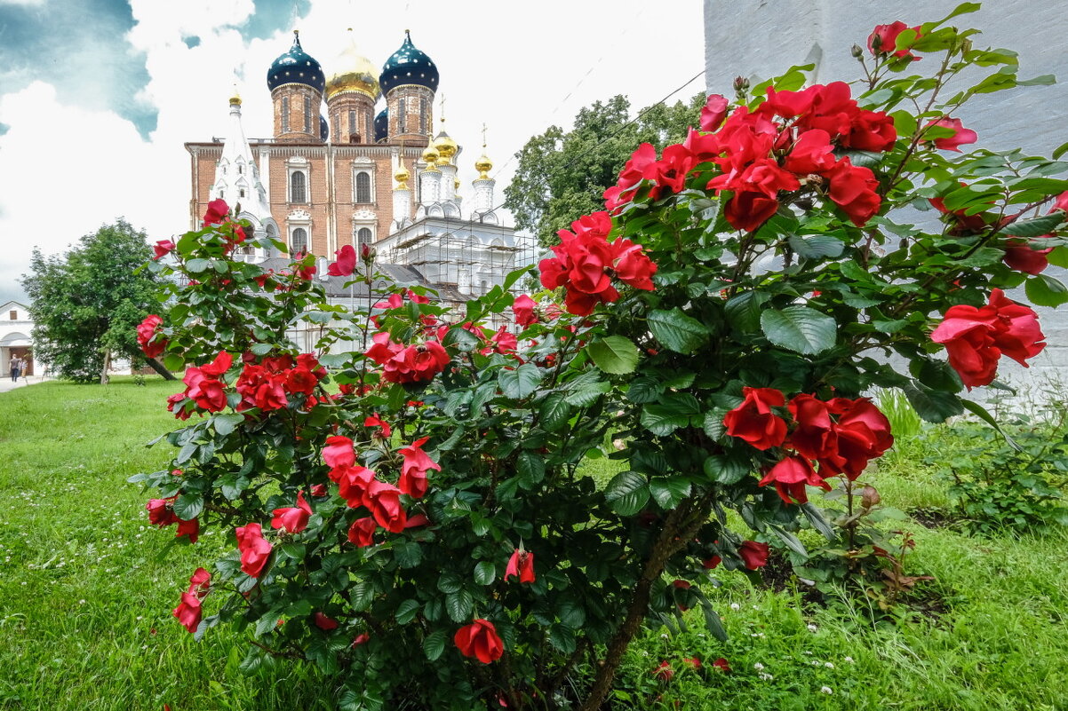 Рязанский Кремль - Георгий А