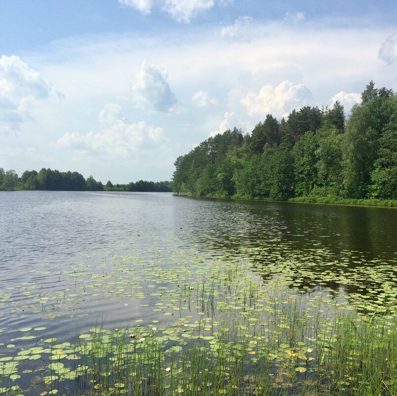 Озеро - Татьяна 