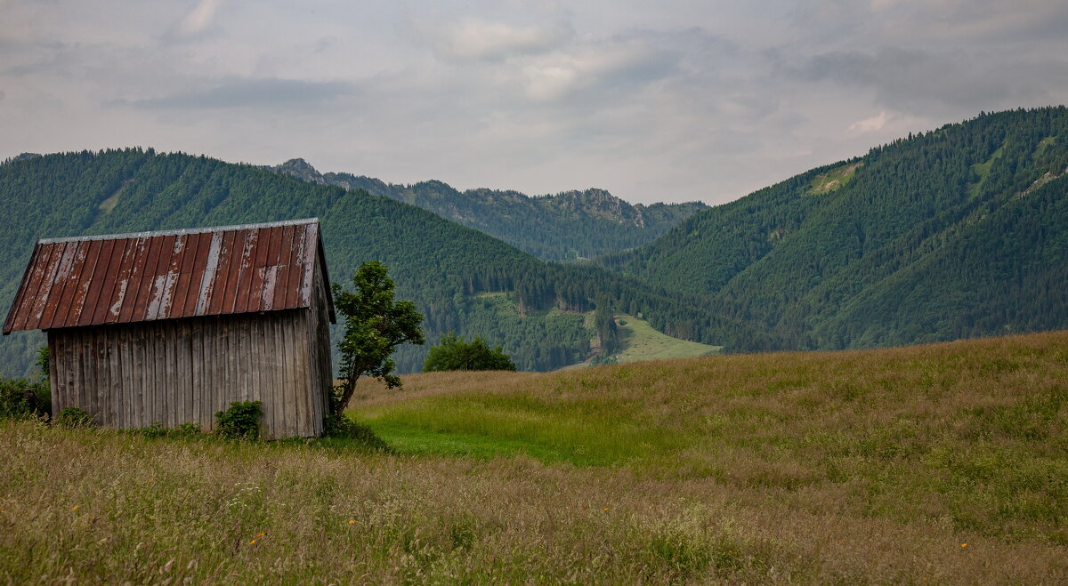 в альпах - vladimir 