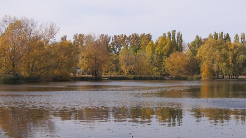 осень на городском пляже - Елена Шаламова